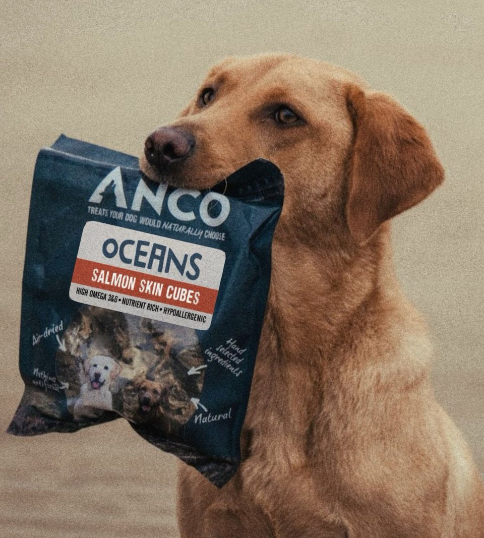 Dog Treats & Pates