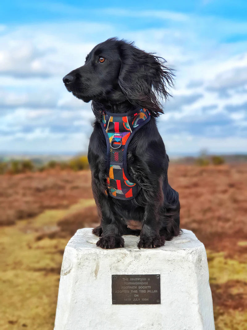 Harness & Accessories