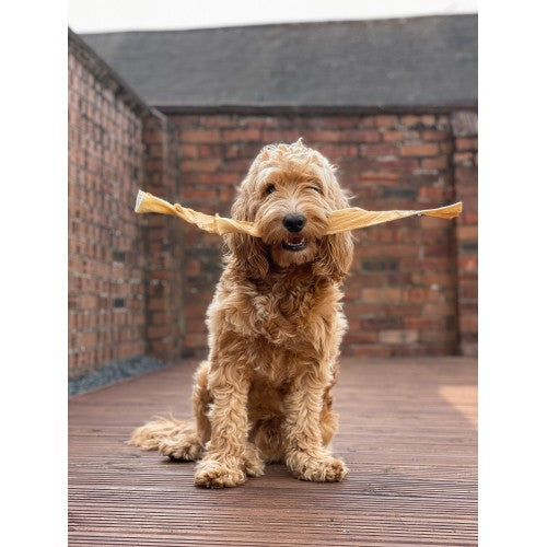 Dog Chews