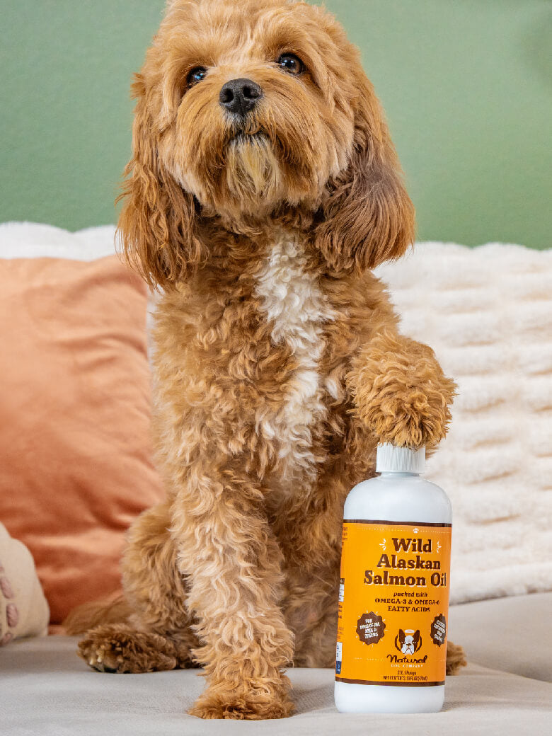 Natural Dog Company