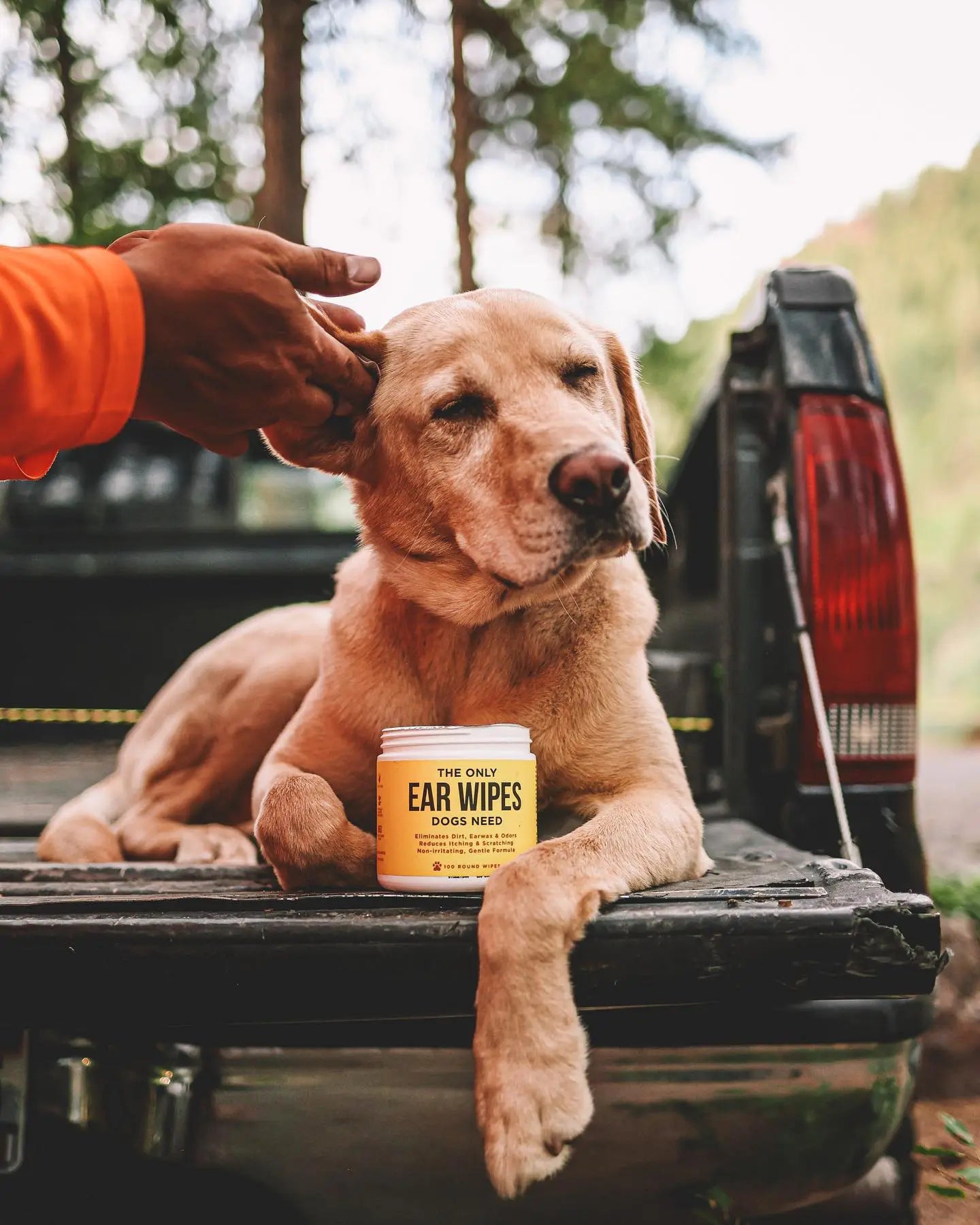 Natural Rapport- Wholesale