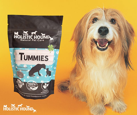 Dog Probiotics