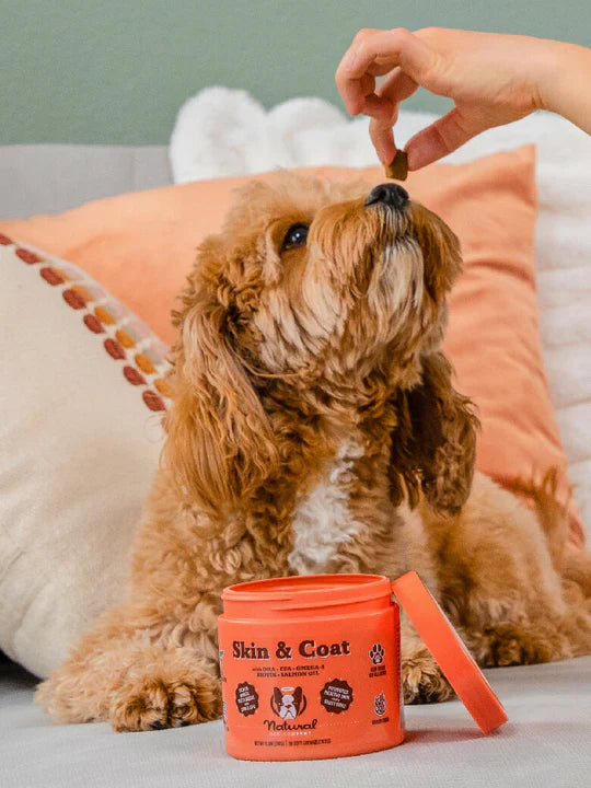 Dog Health