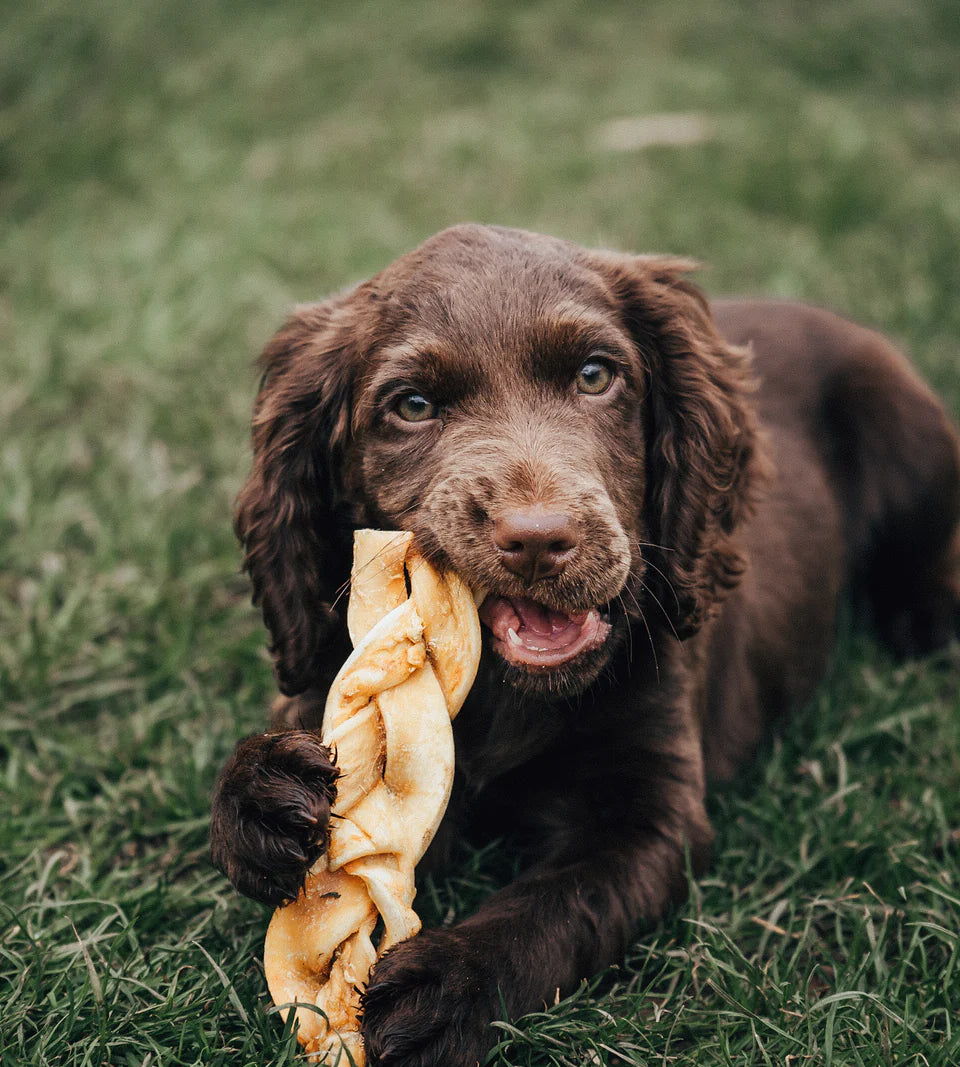 Dog Treats