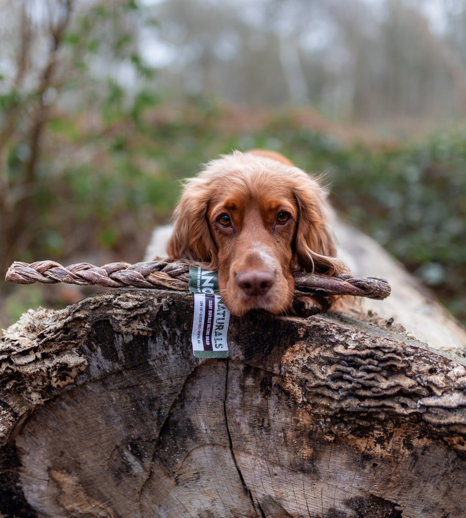 Natural Dog Chews