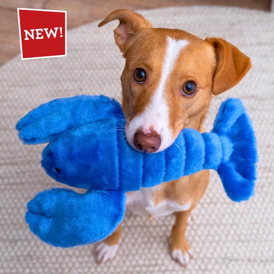 Fluff & Tuff Dog Toys