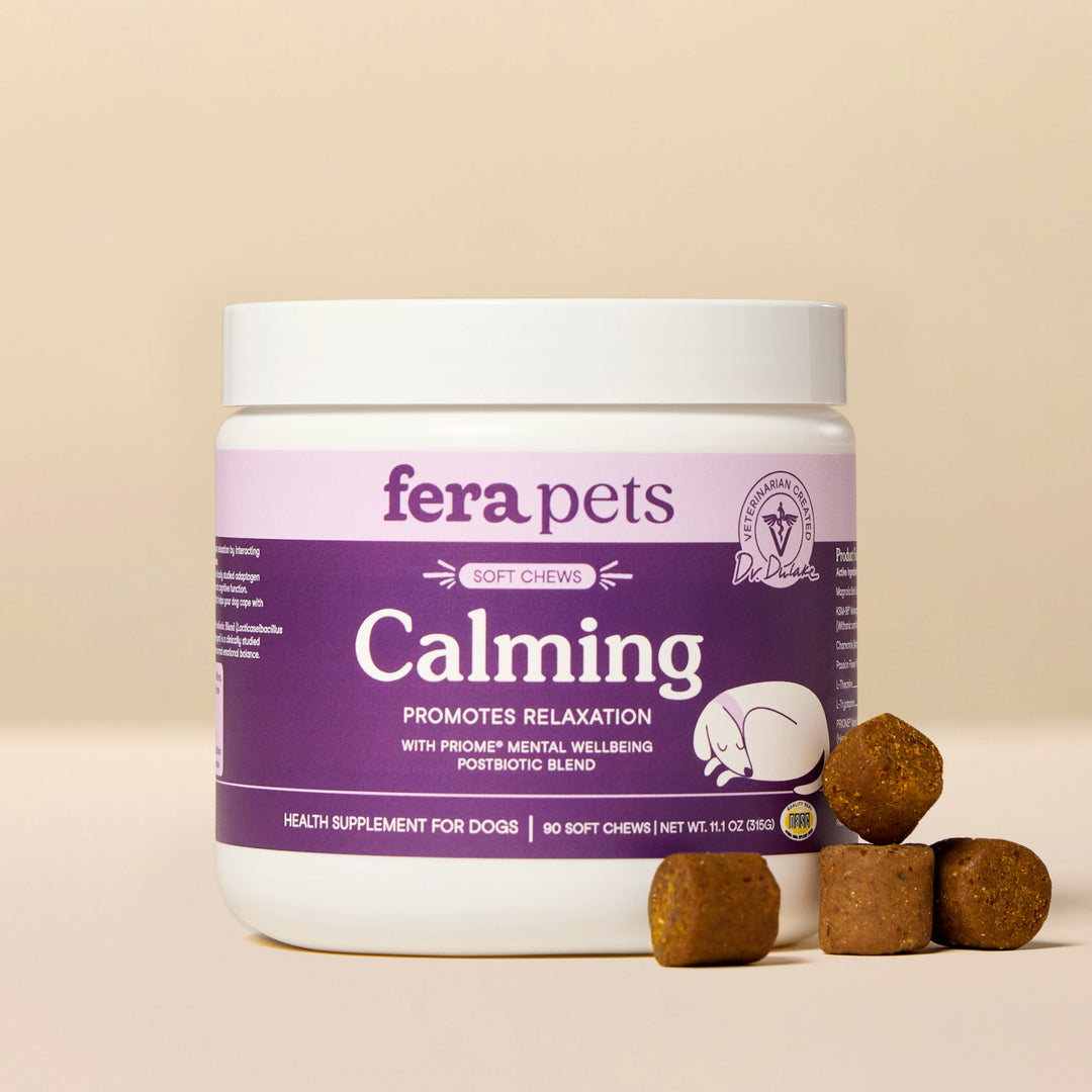 Holistic Calming Dog Supplements