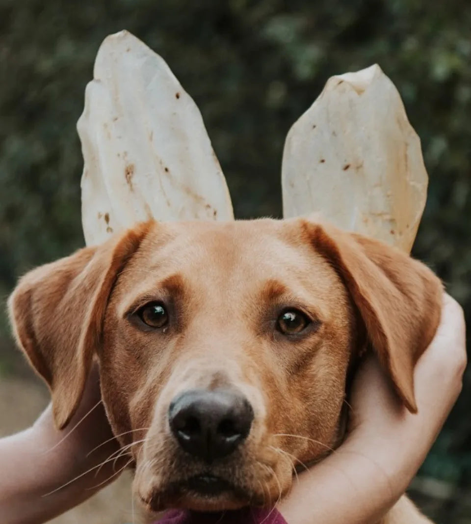 Puppy & Senior Dog Chews