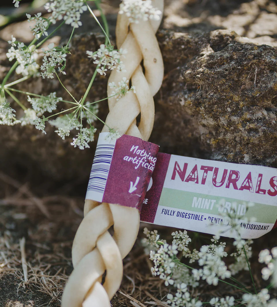 Long Lasting Chew