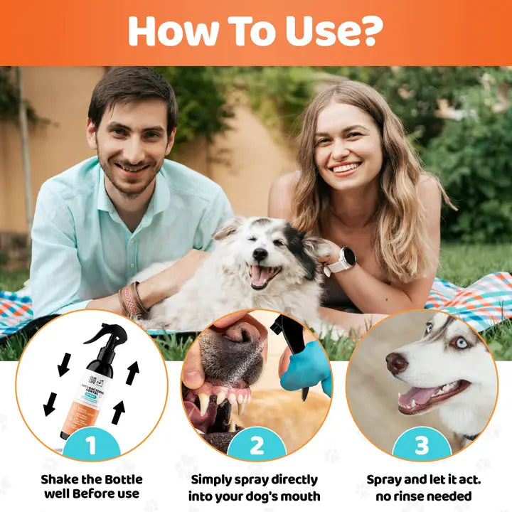 Happy Tails 