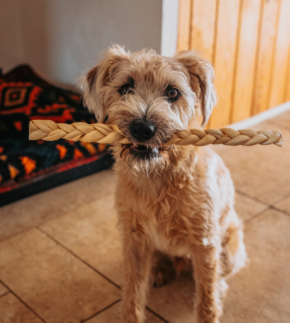 Happy Tails 