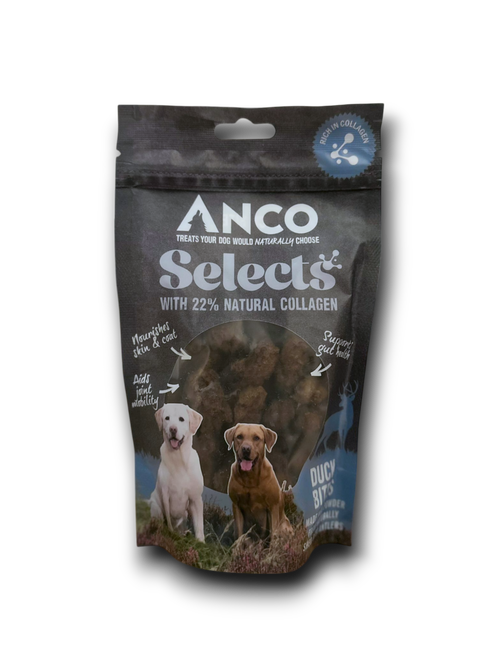 Happy Tails 