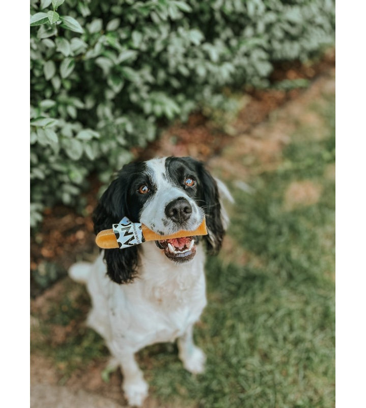 Happy Tails 