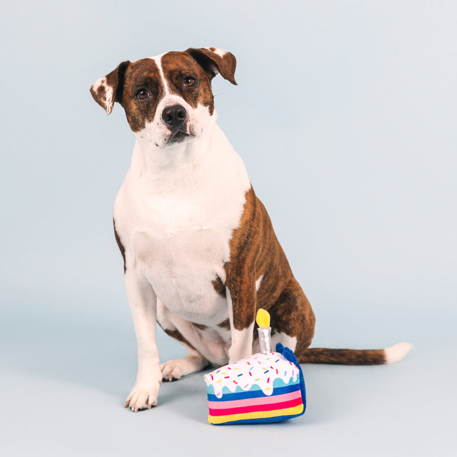 Happy Tails 