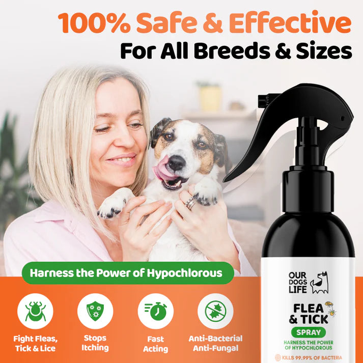 Happy Tails 