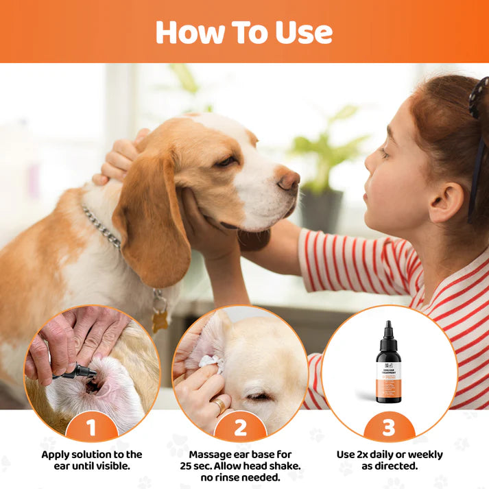 Happy Tails 