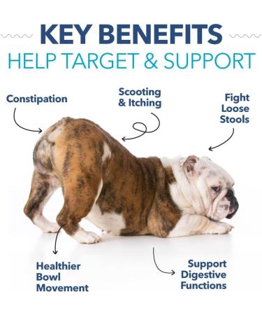 Happy Tails 