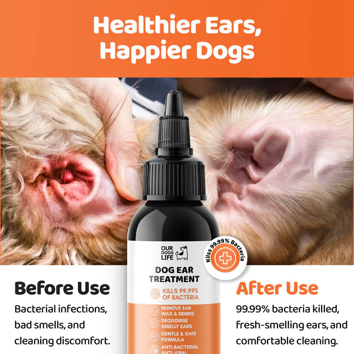 Happy Tails 