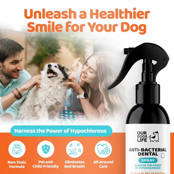 Happy Tails 