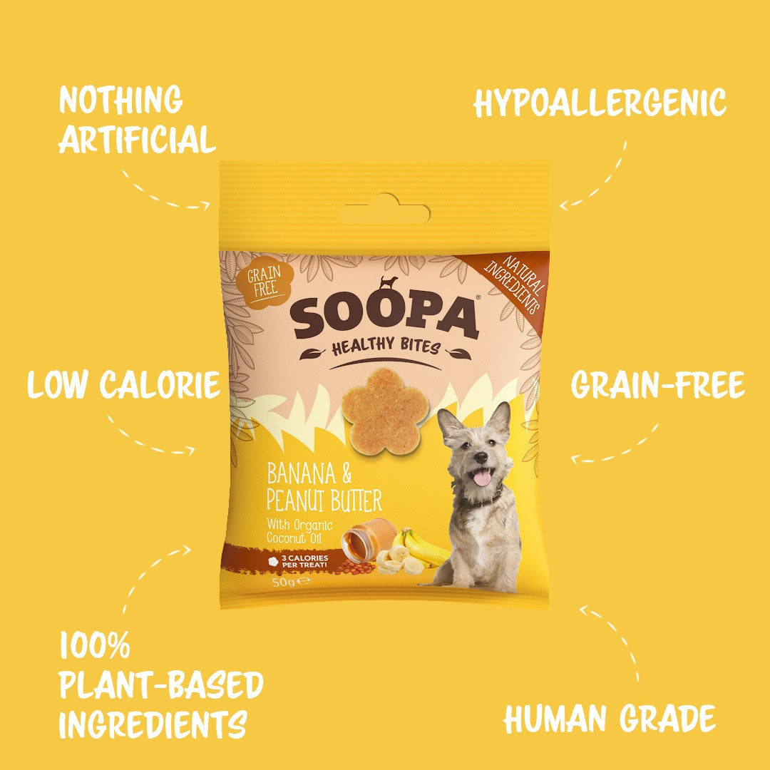 Happy Tails 
