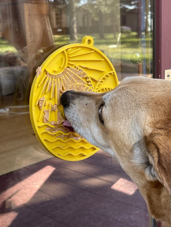Happy Tails 