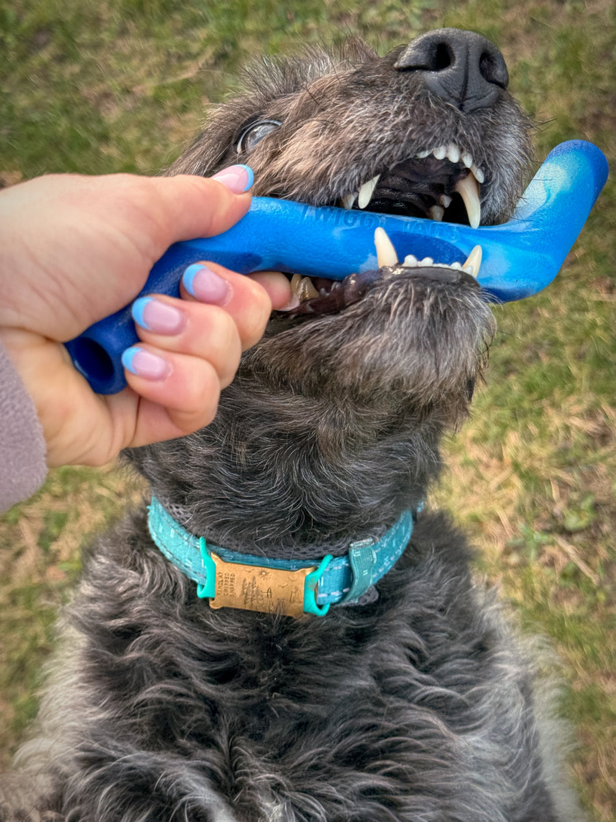 Happy Tails 