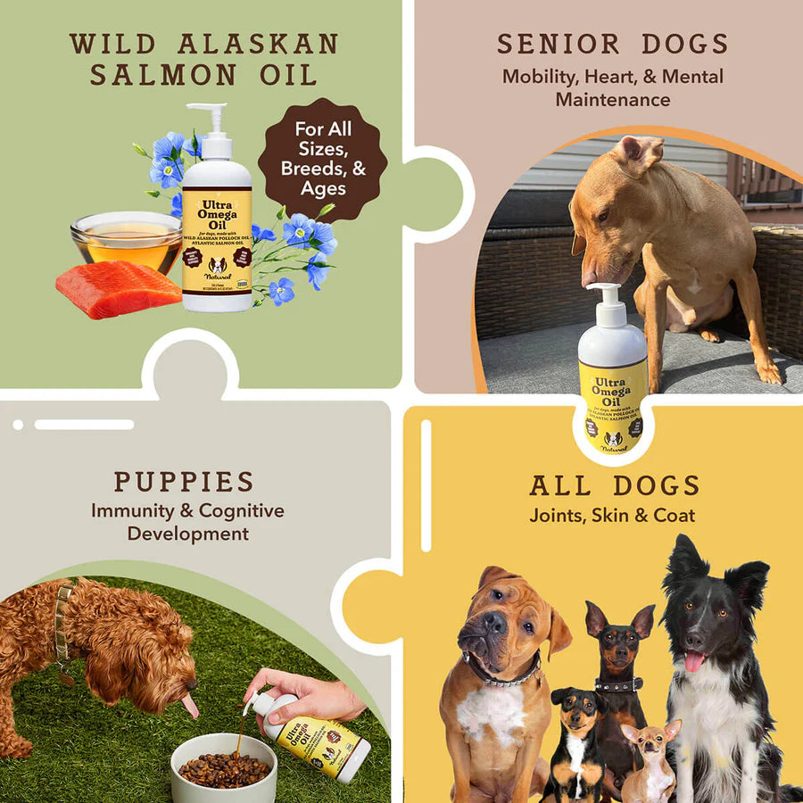 Happy Tails 