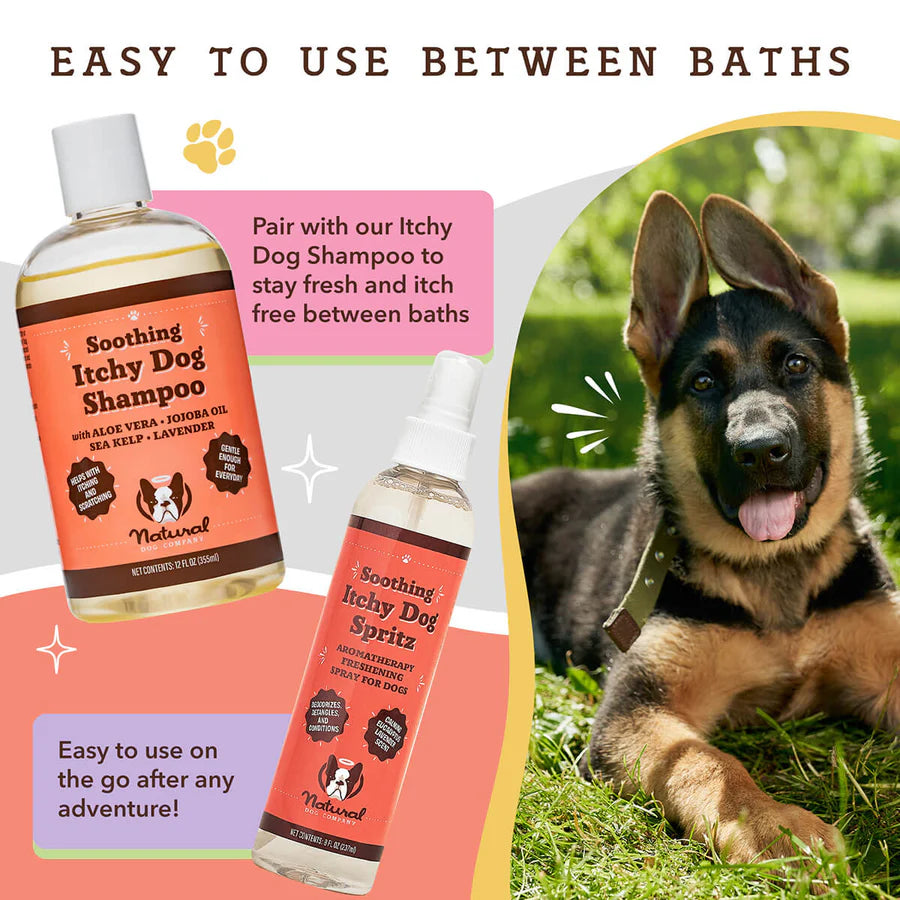 Happy Tails 