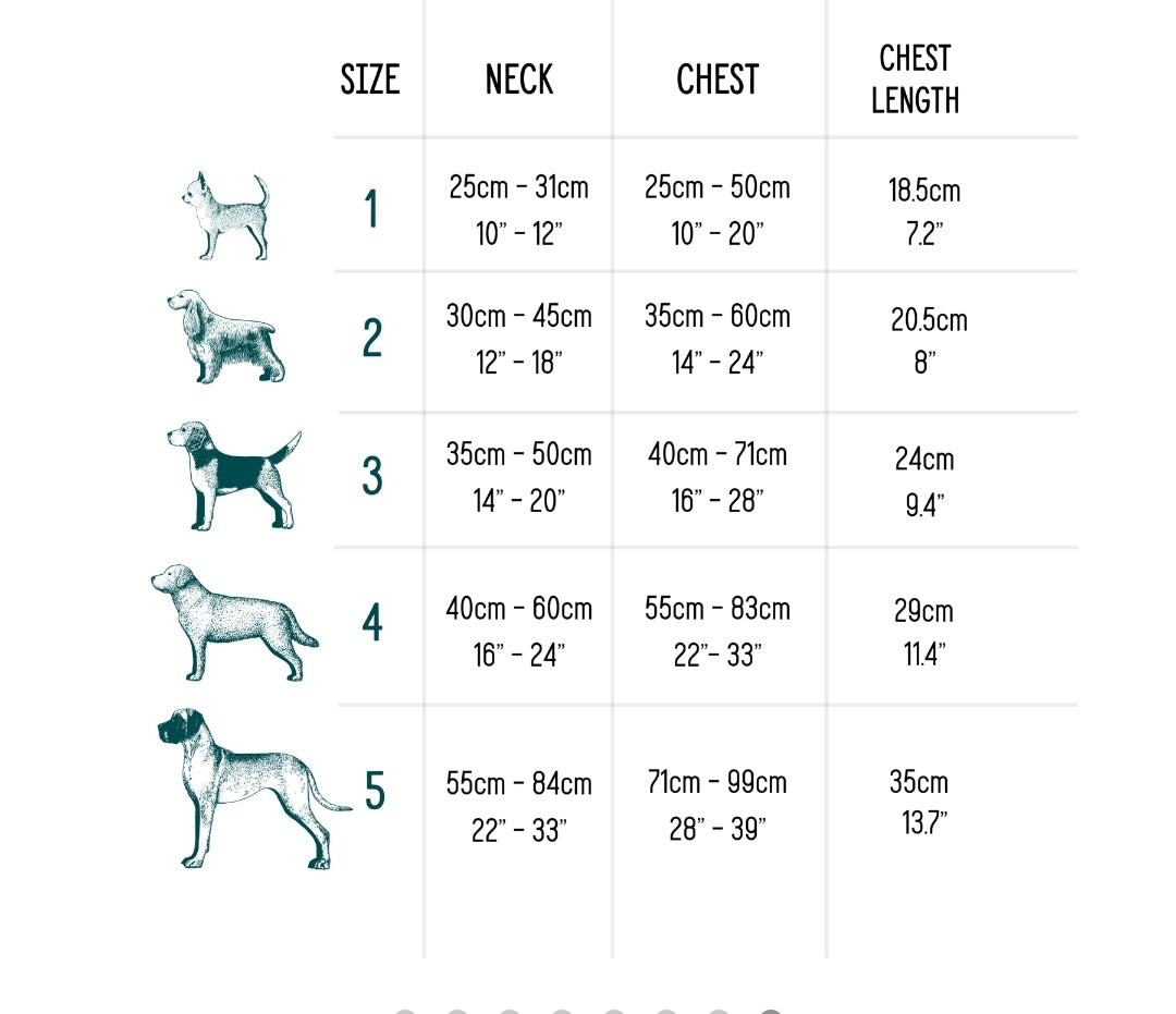 Happy Tails 