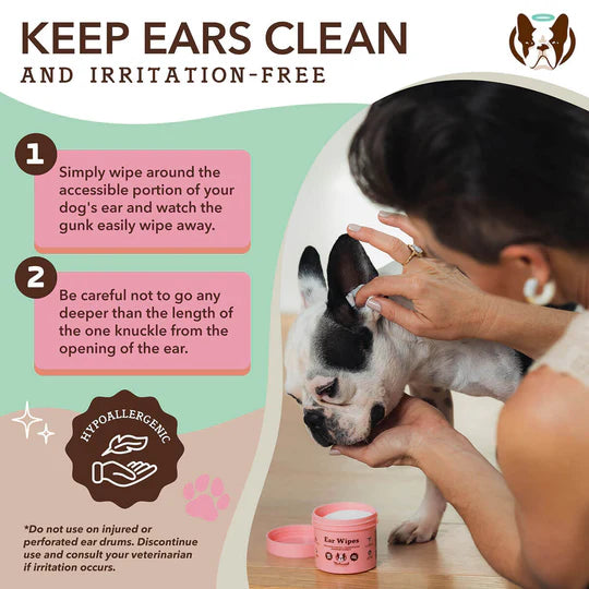 Happy Tails 