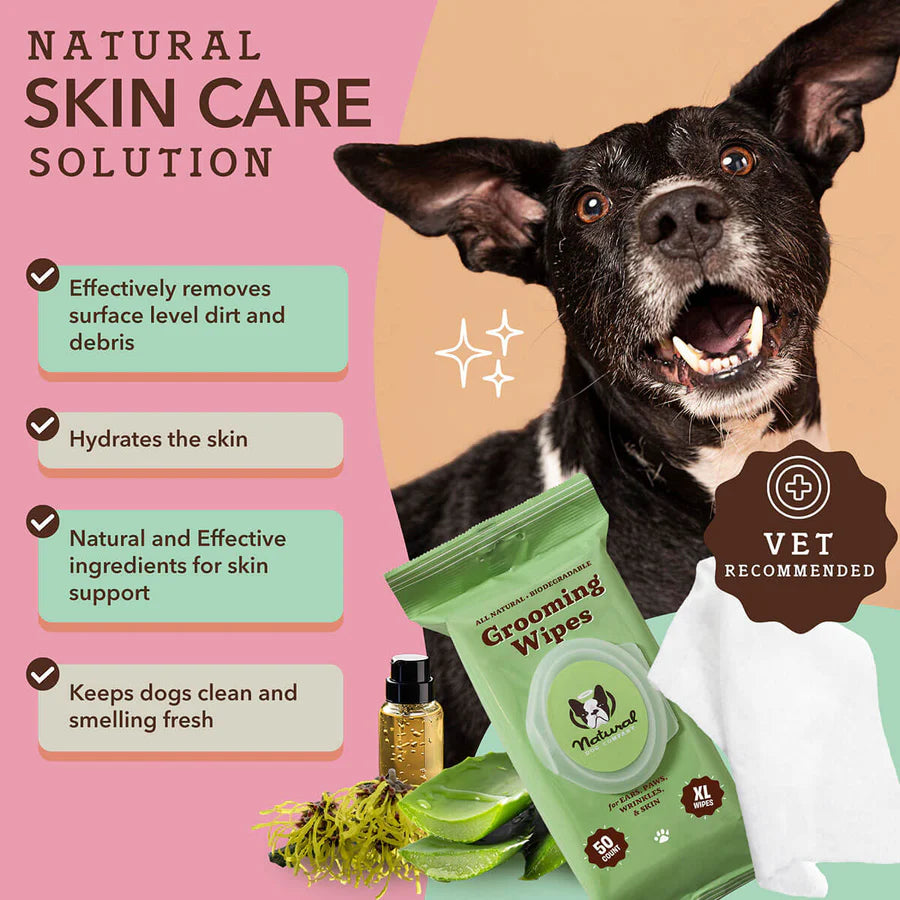 Happy Tails 