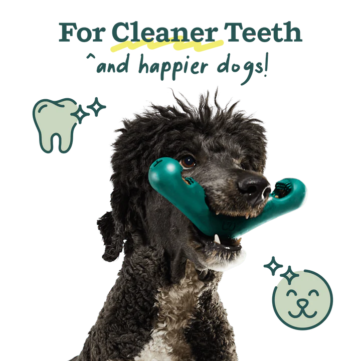 Happy Tails 