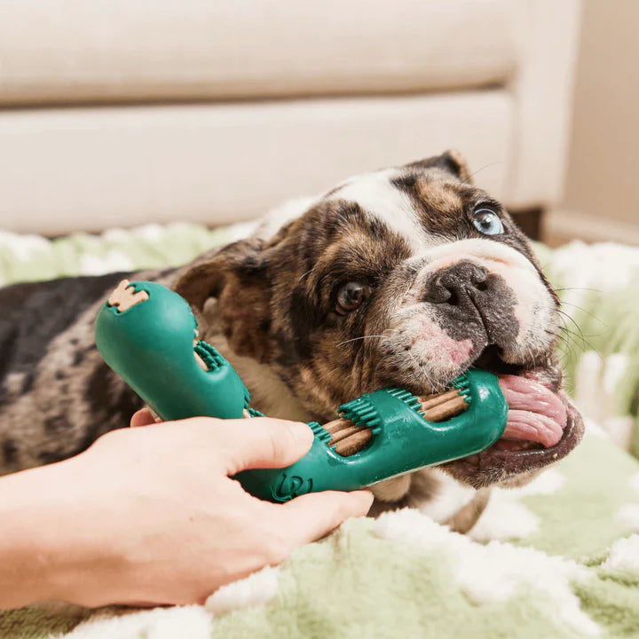 Happy Tails 