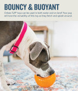 Happy Tails 