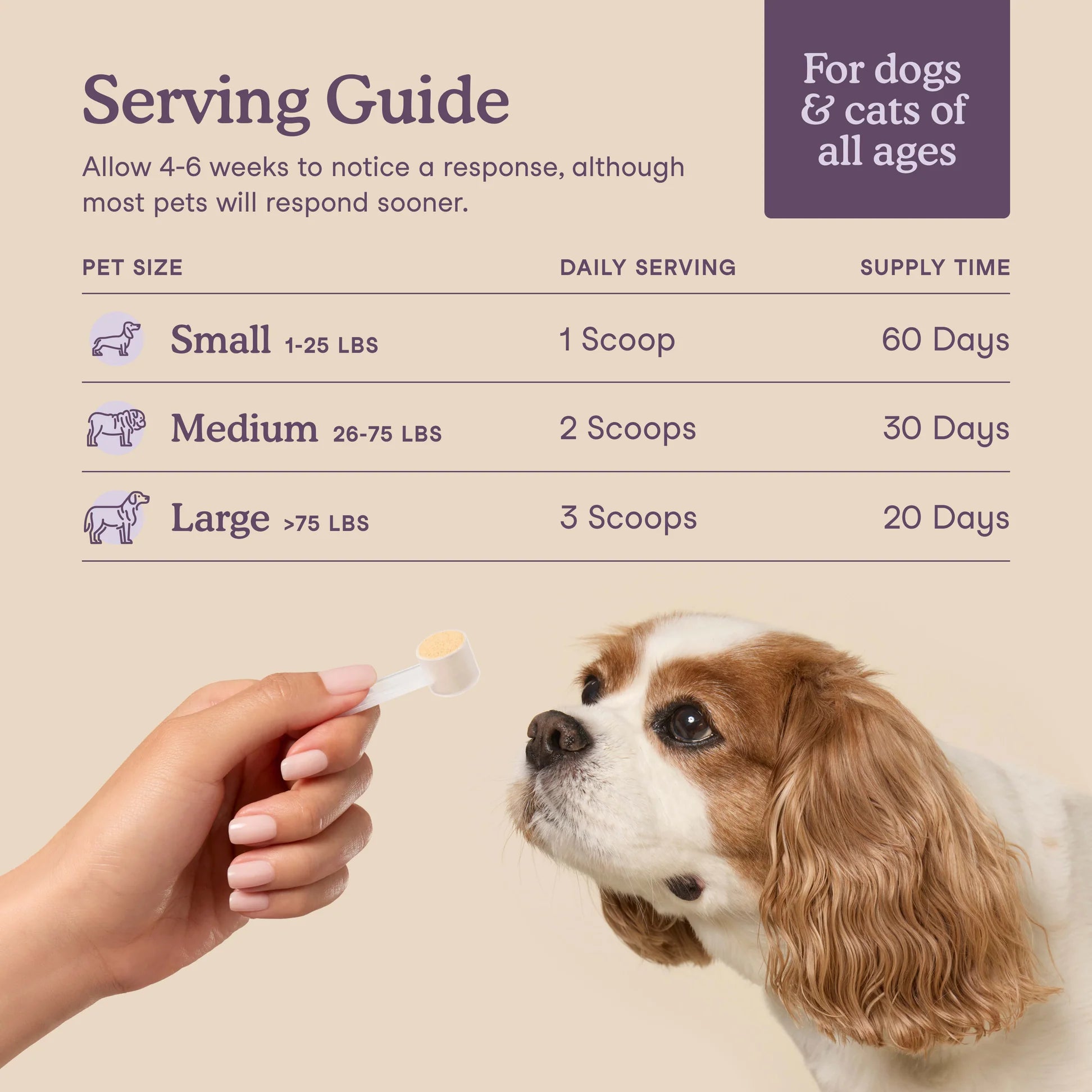Happy Tails 