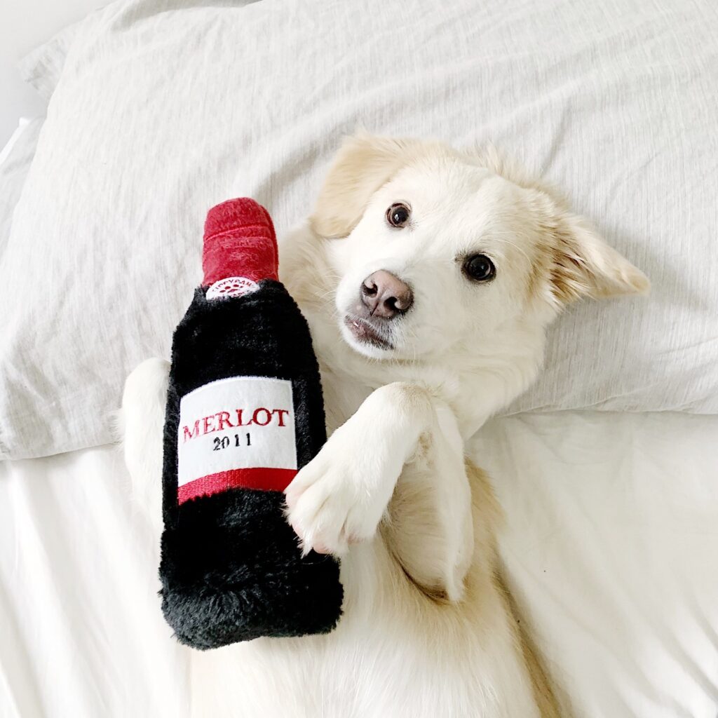 Happy Tails 