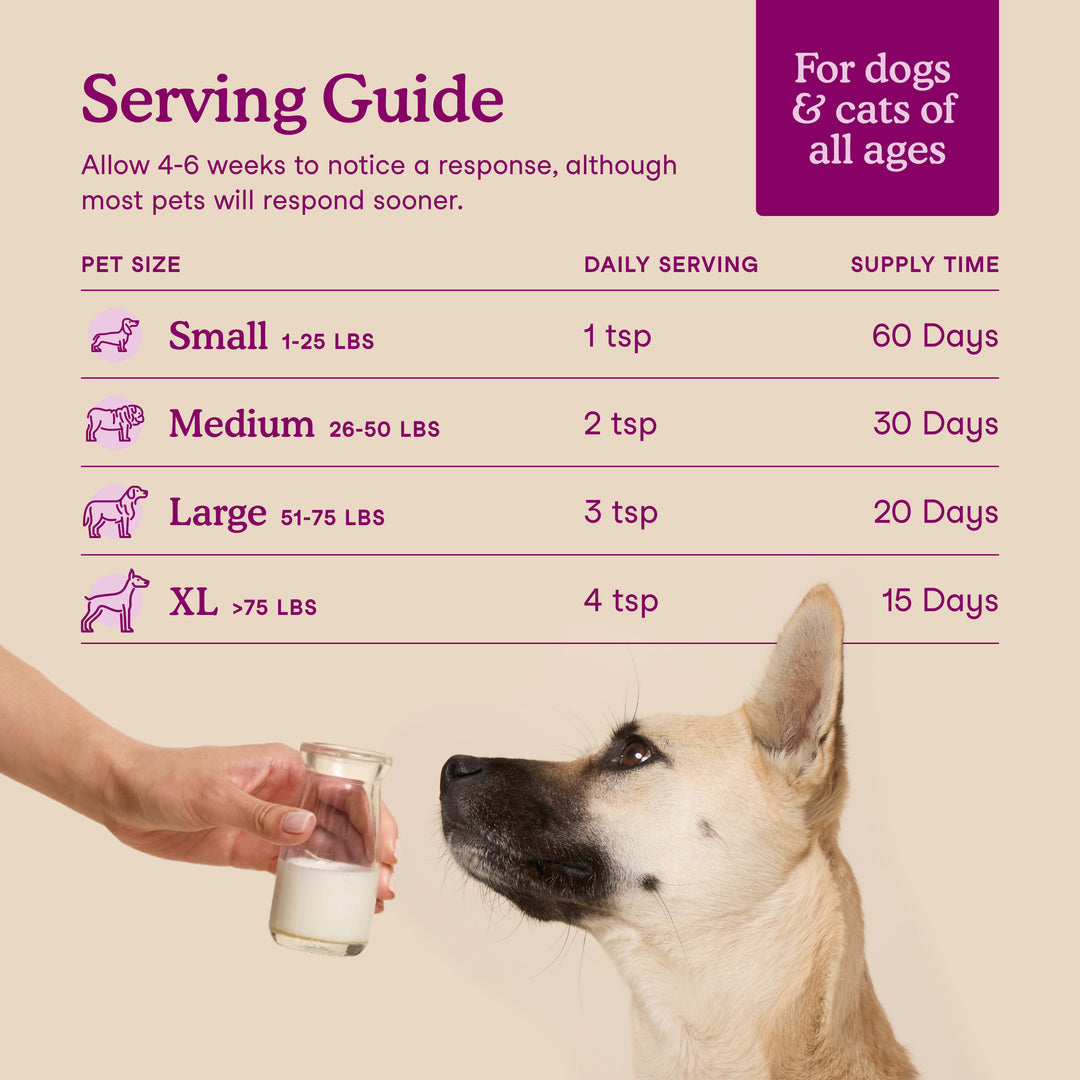 Happy Tails 