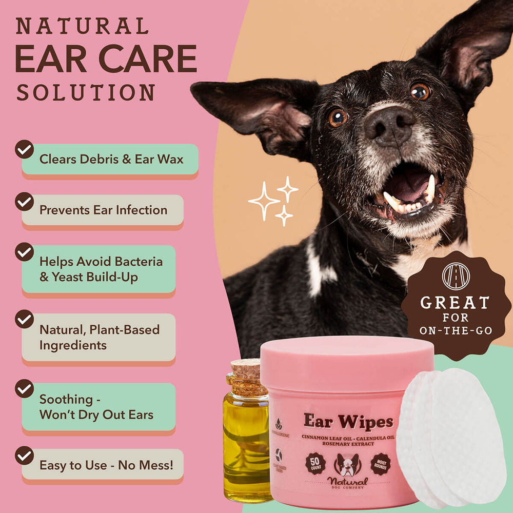 Happy Tails 