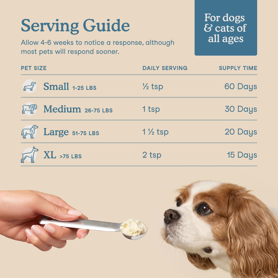 Happy Tails 