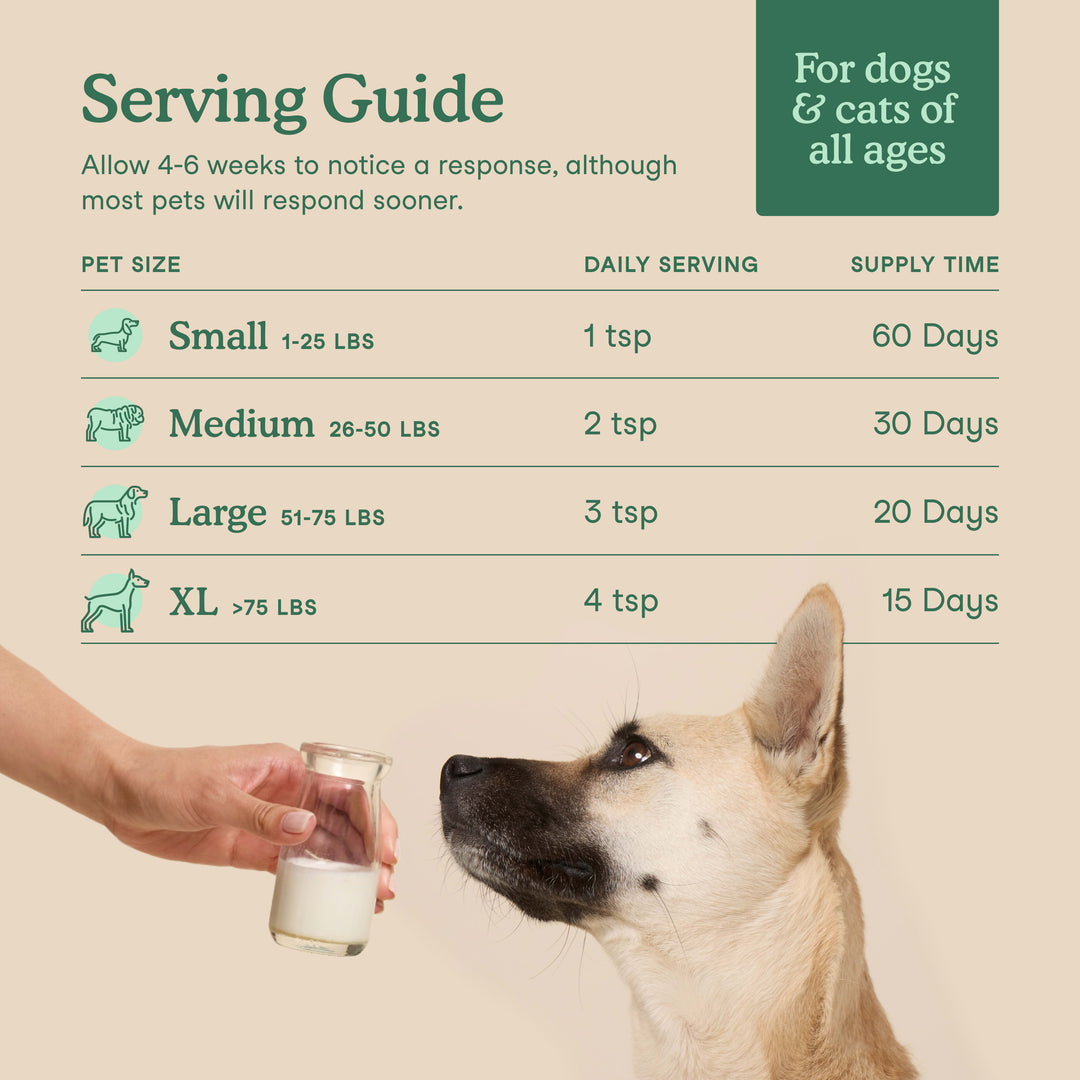 Happy Tails 