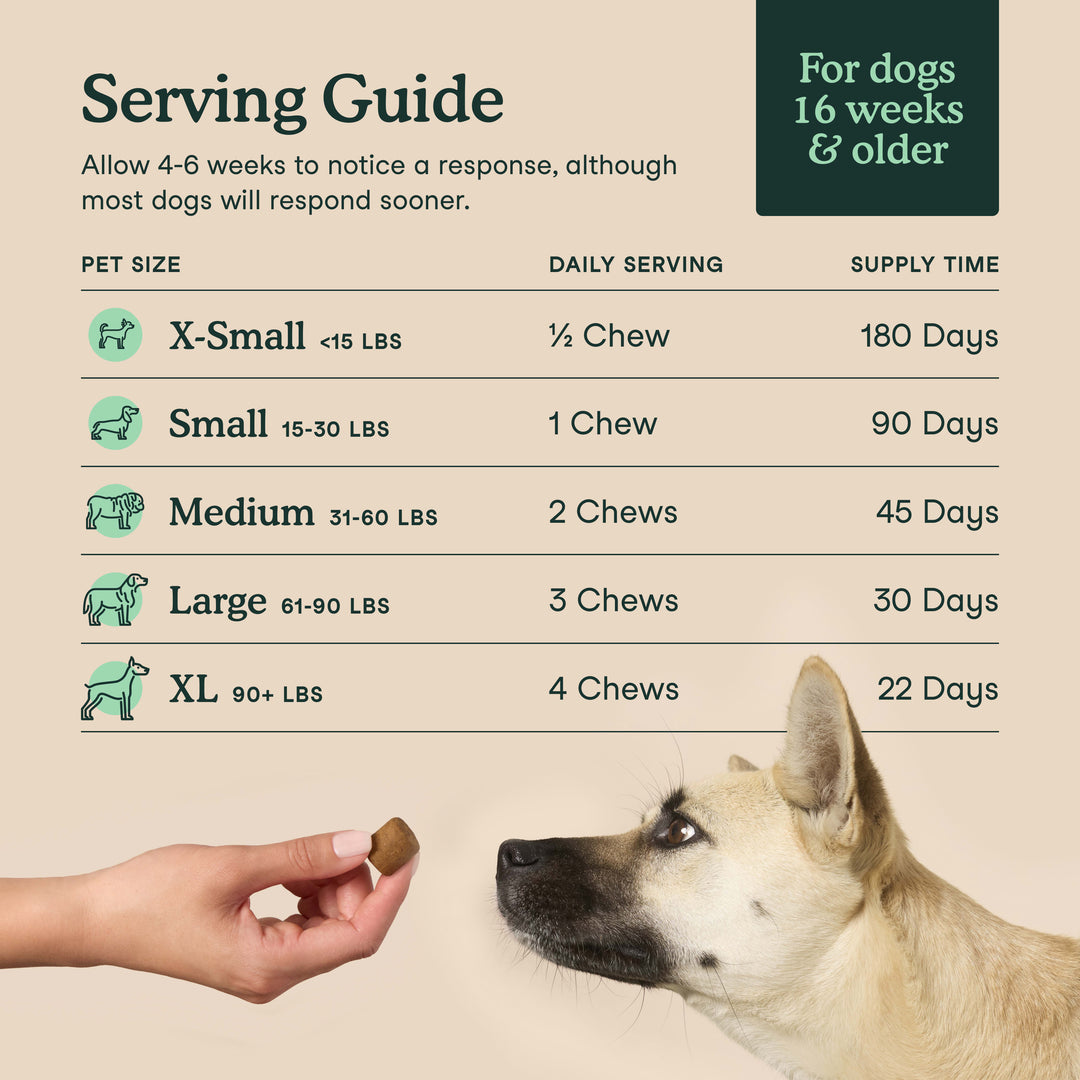 Happy Tails 