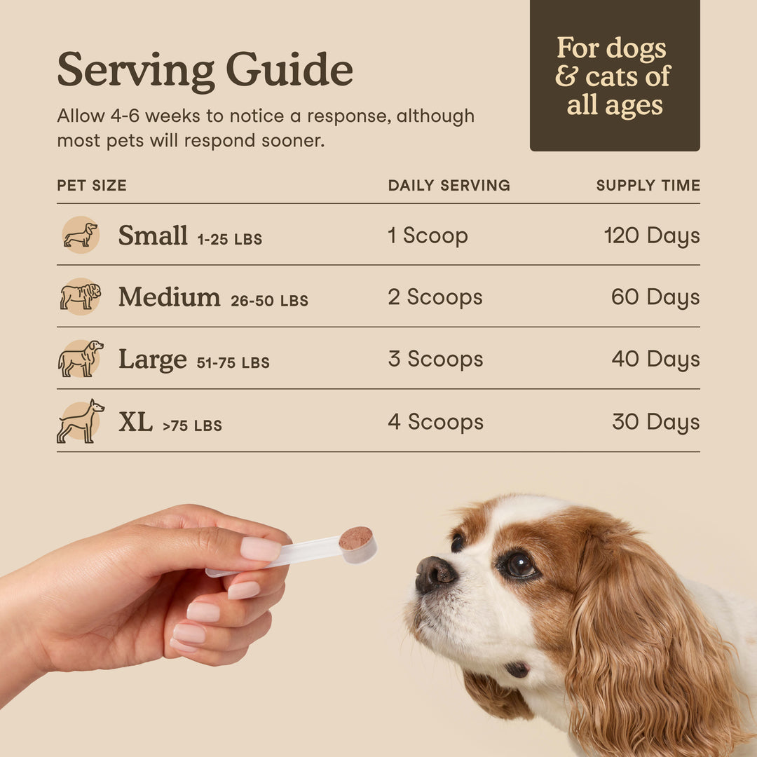 Happy Tails 