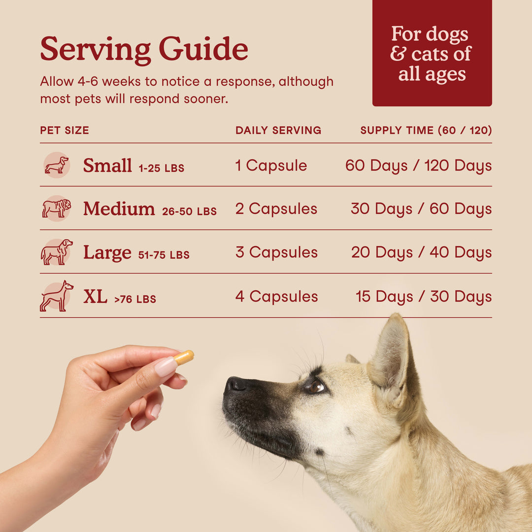 Happy Tails 