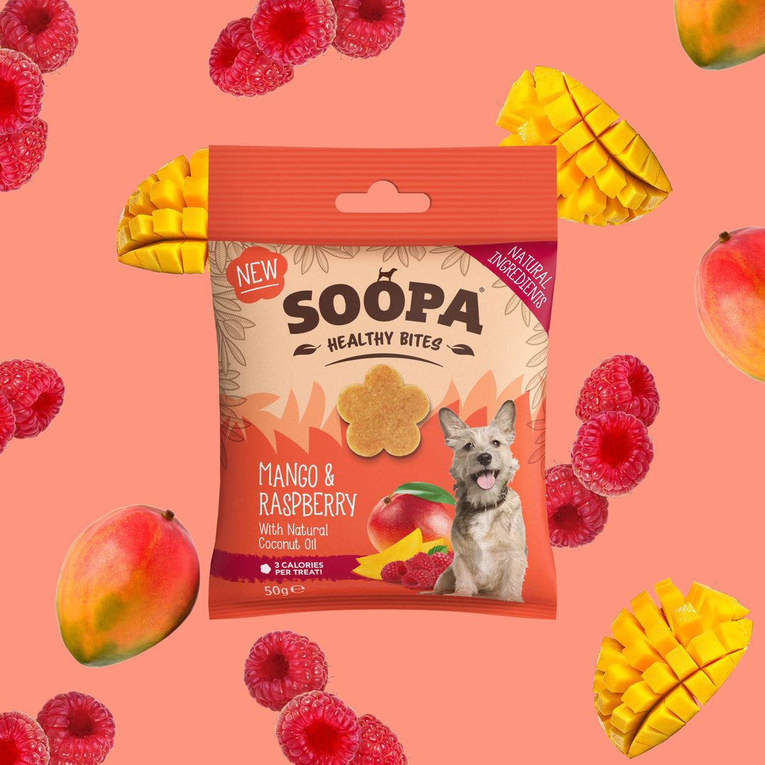 Happy Tails 