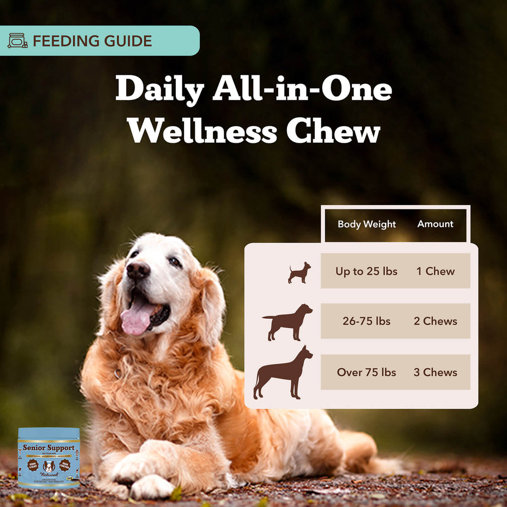 Happy Tails 