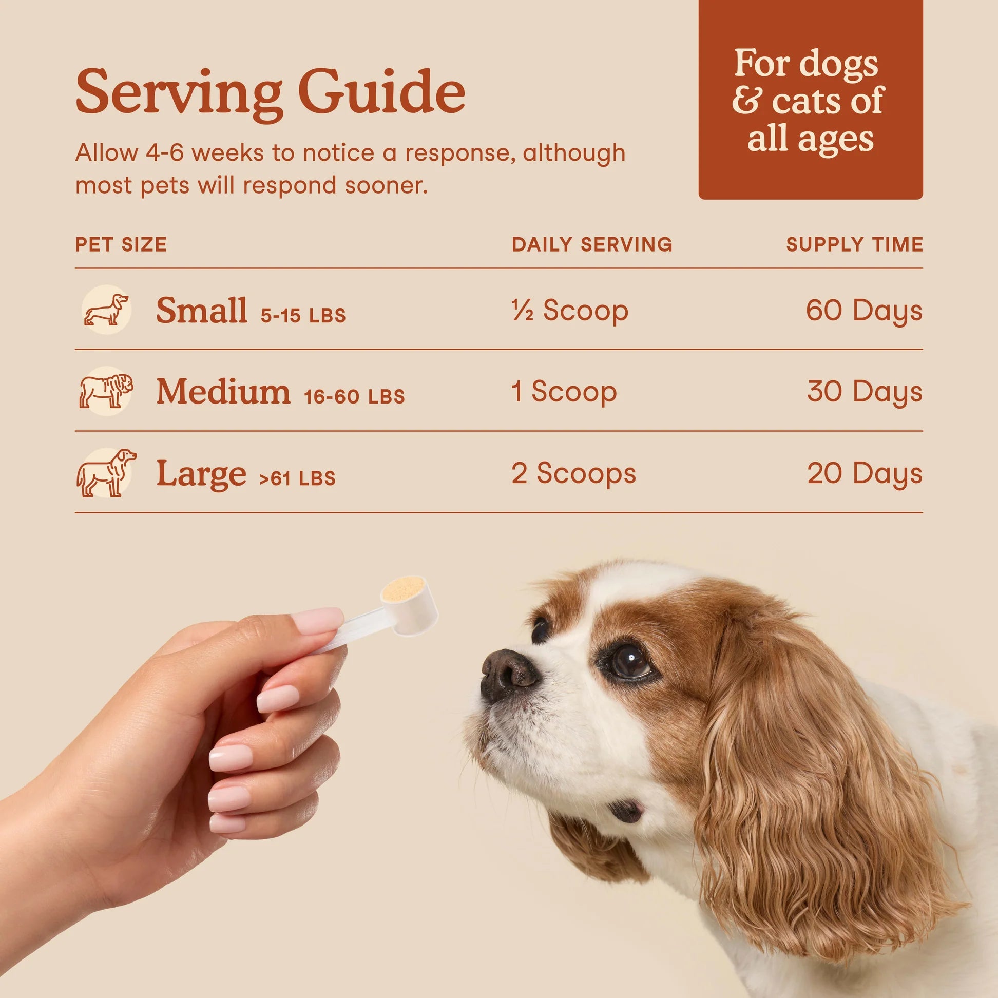 Happy Tails 
