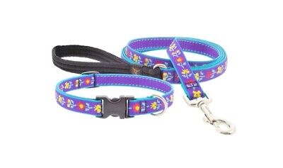 Happy Tails 