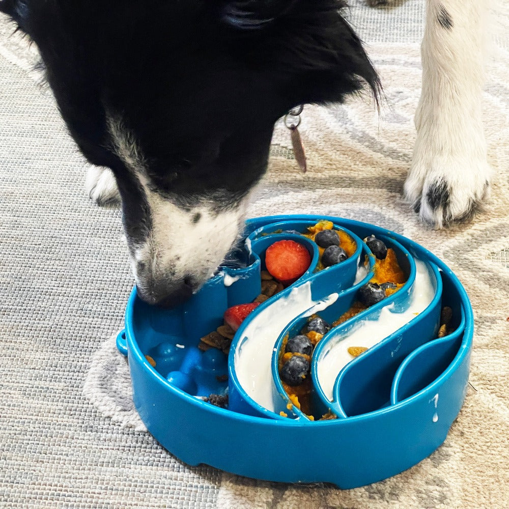 Happy Tails 