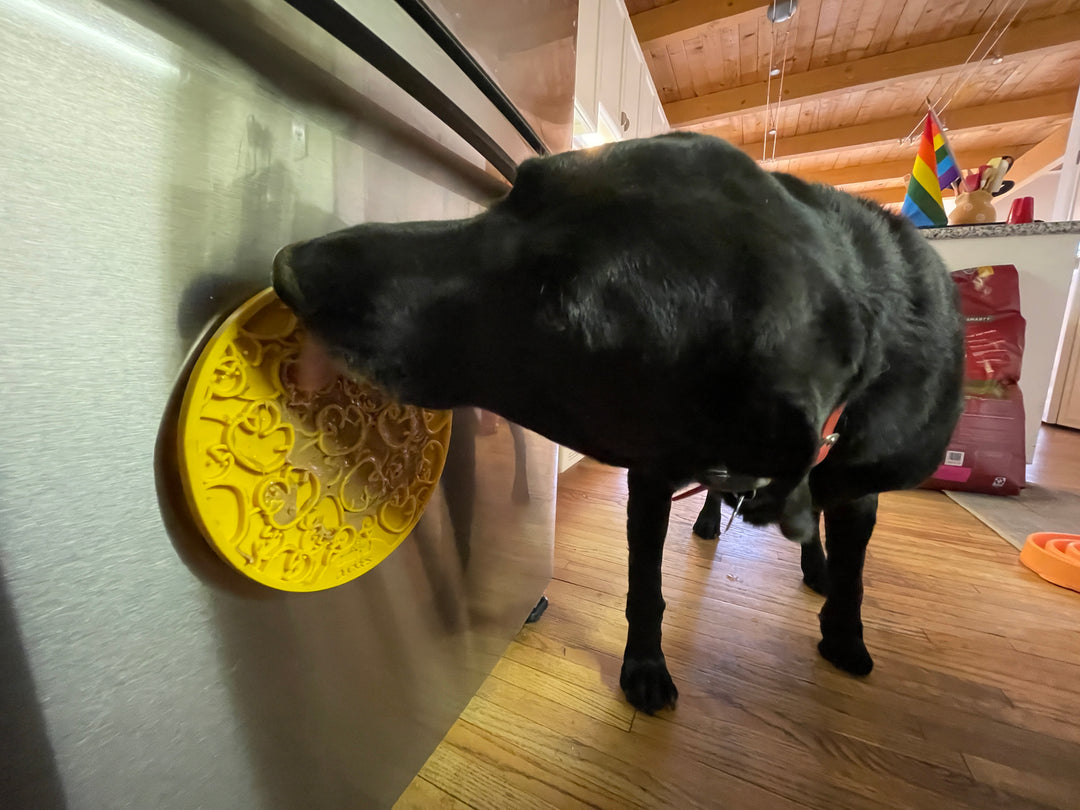 Happy Tails 