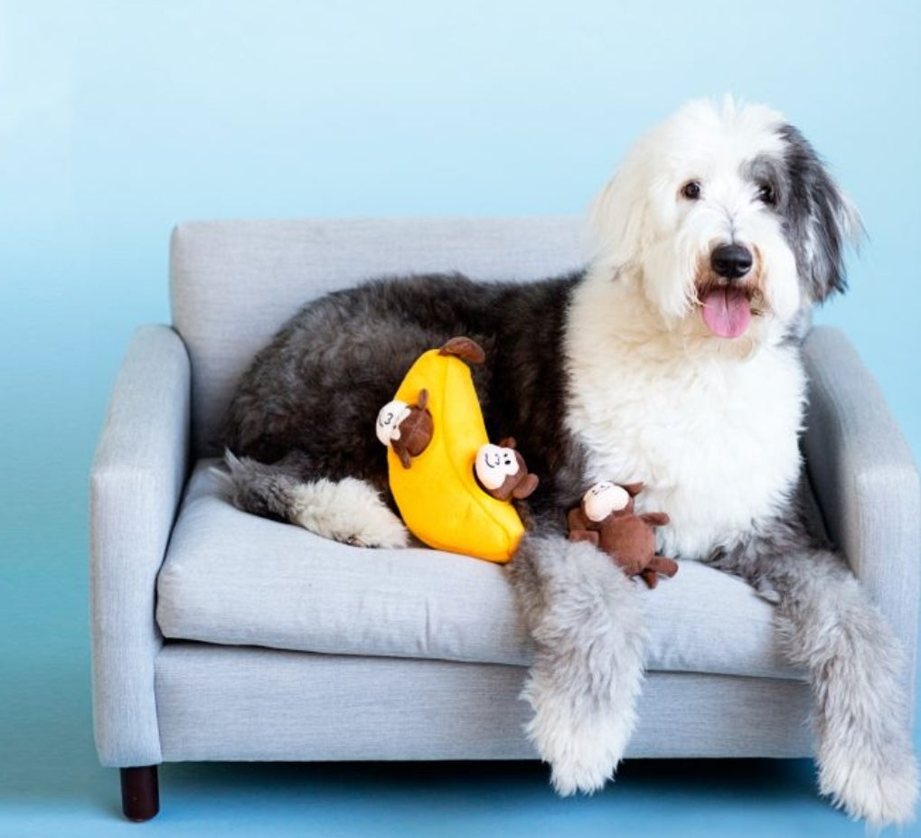 Happy Tails 